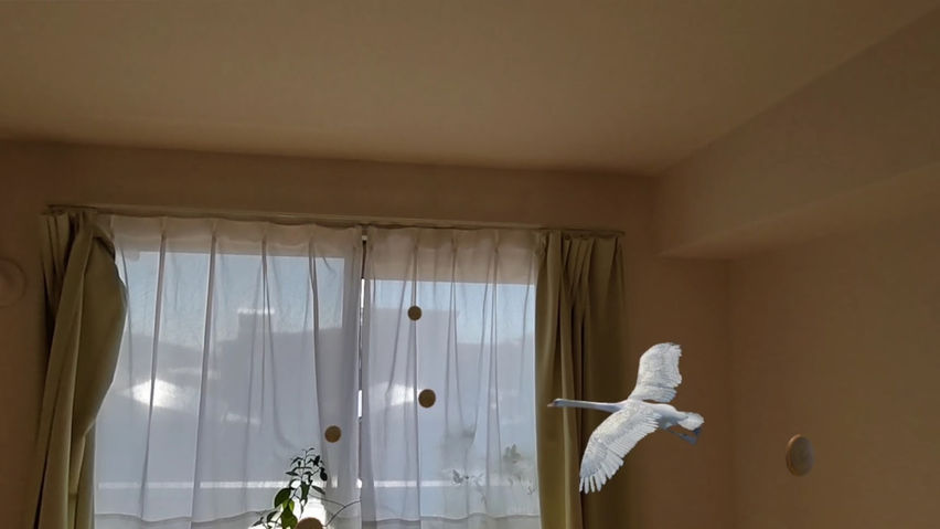 Avian Adventure MR