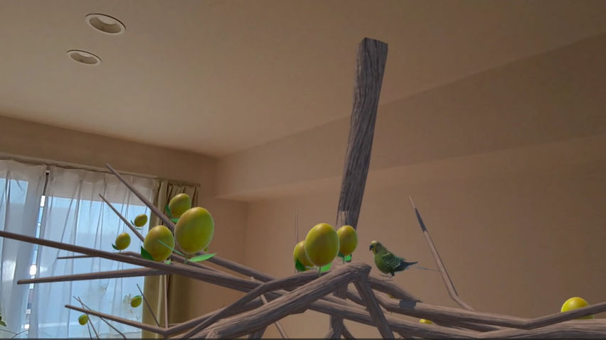 Avian Adventure MR