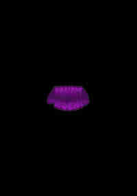 Project Phoenic