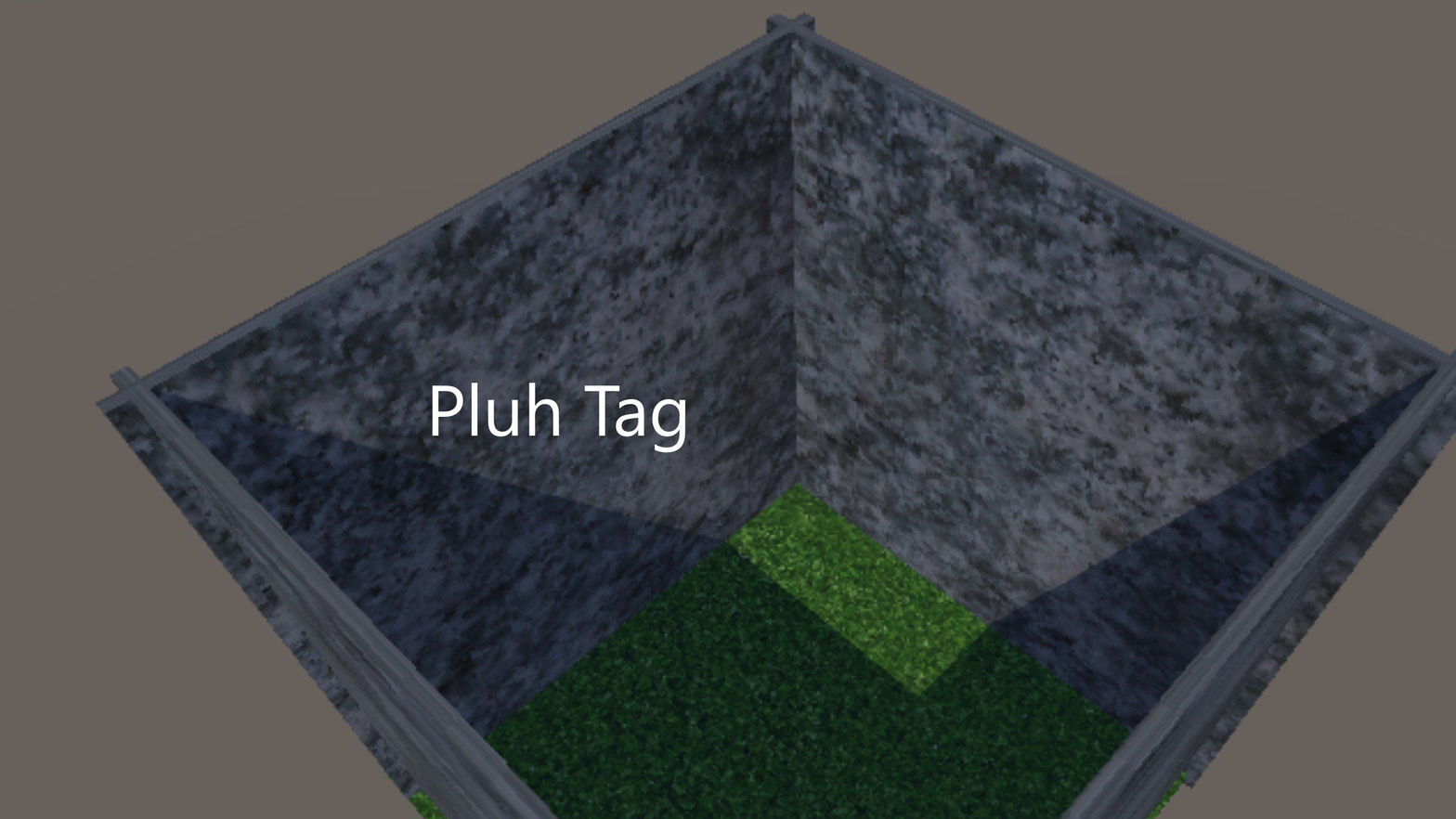 Pluh Tag