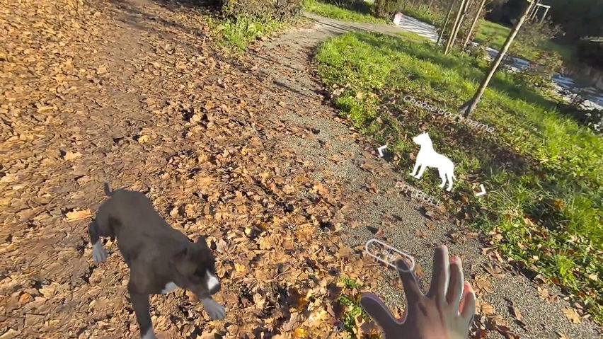 MyPetXR
