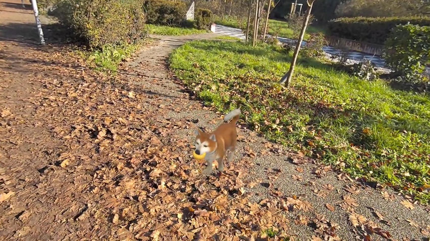 MyPetXR