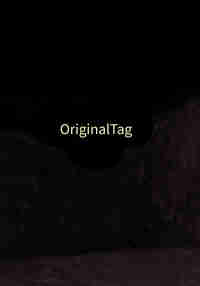 OriginalTag