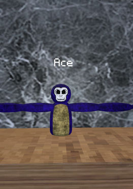 Ace Runners