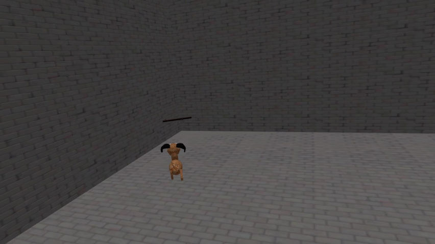 Pet