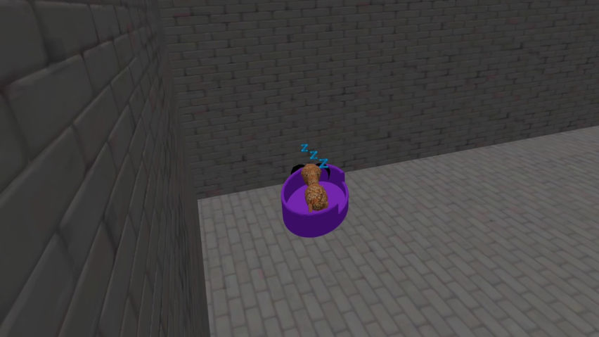 Pet