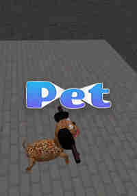 Pet