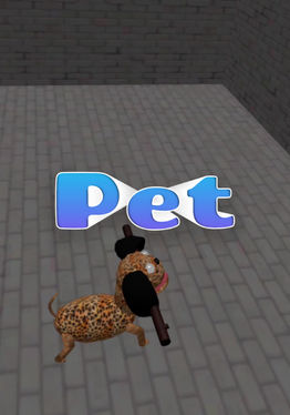 Pet
