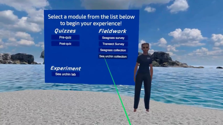CURVE- Seagrass Defence