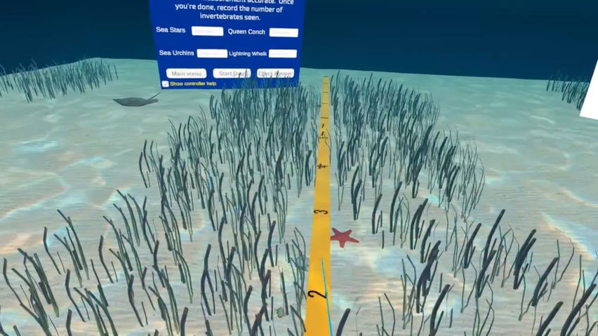 CURVE- Seagrass Defence