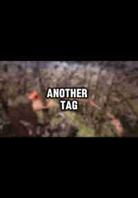 Another Tag
