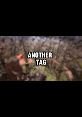 Another Tag
