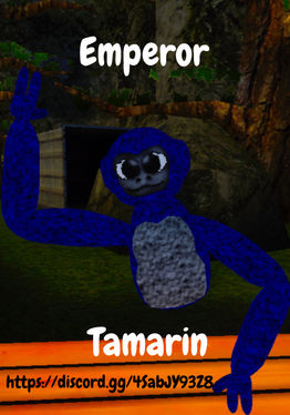 Emperor Tamarin