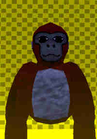 Jungle Dash