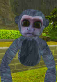 Monkey Hub VR