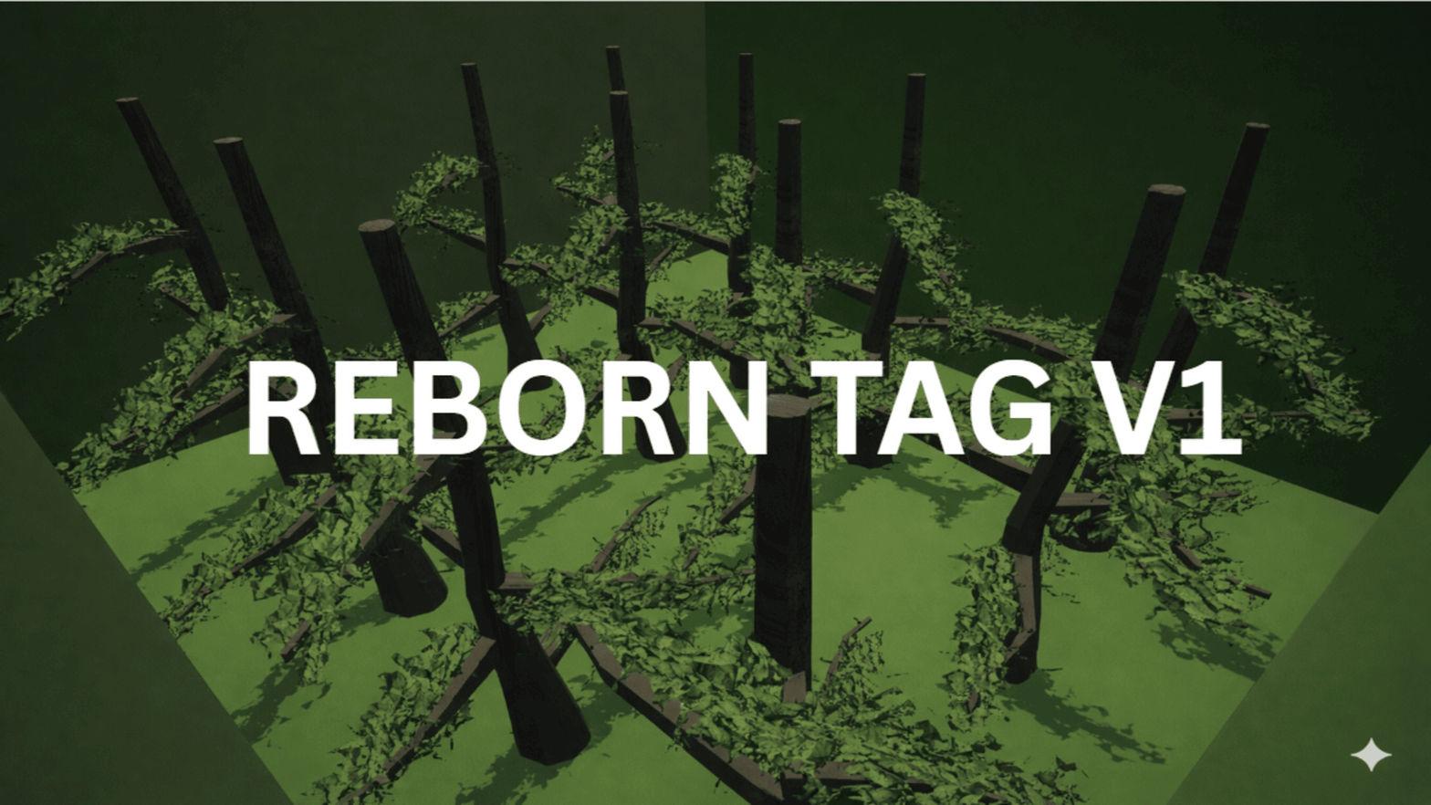 Reborn tag V1