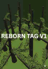 Reborn tag V1