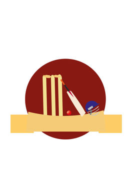 Cricket frenzy VR