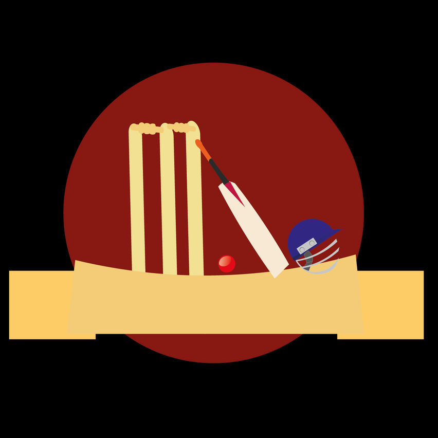 Cricket frenzy VR