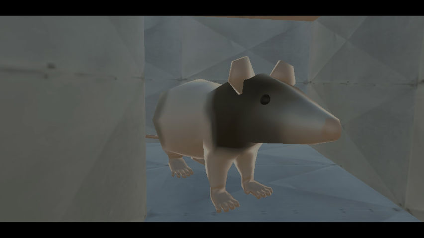 Bouncing Baboons