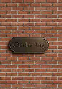 Ocular tag
