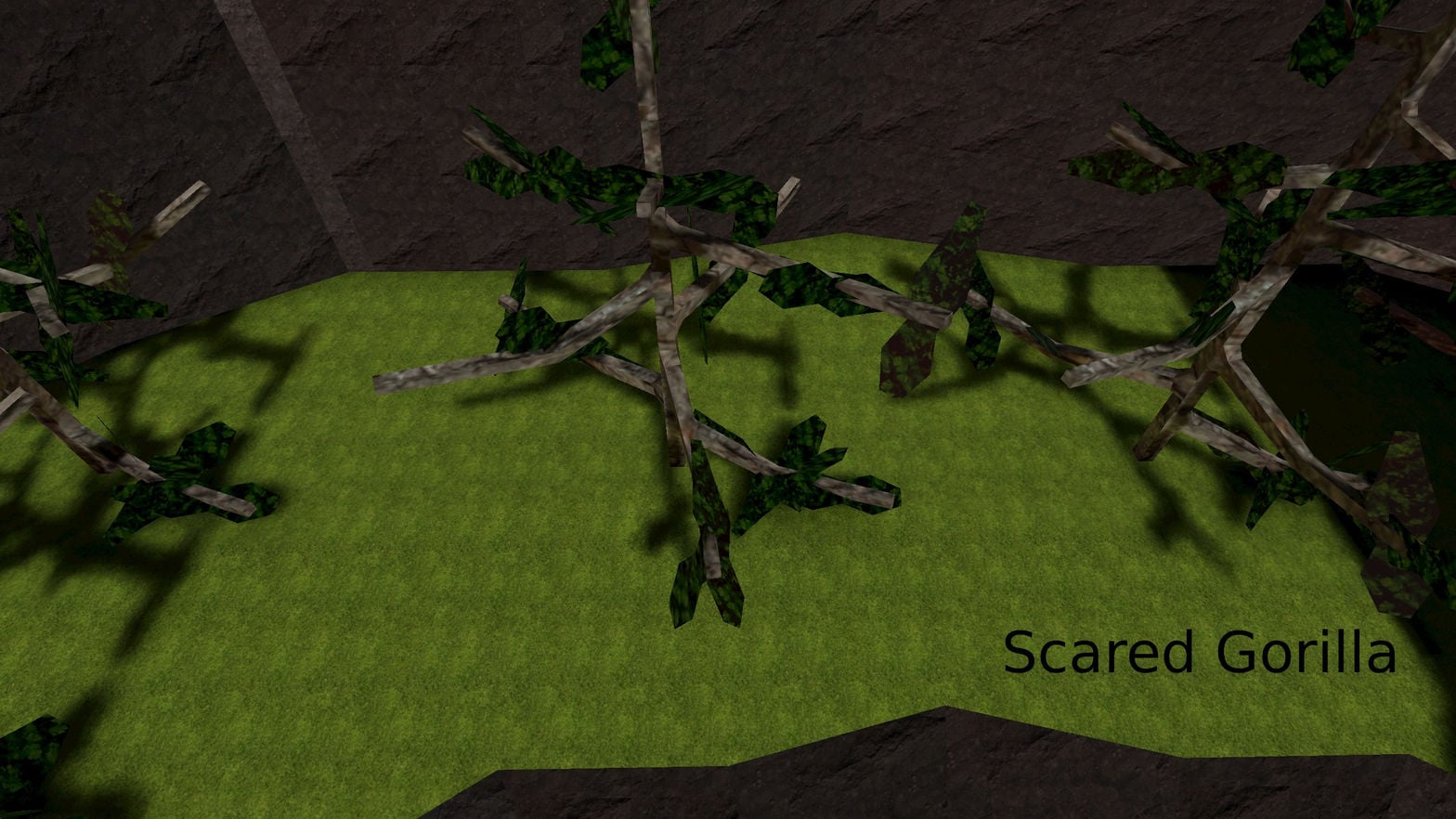 Scared Gorilla