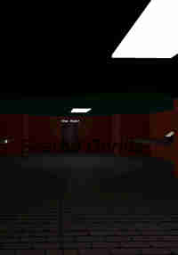 Scared Gorilla