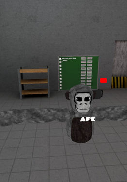 Lobotomy Chimp