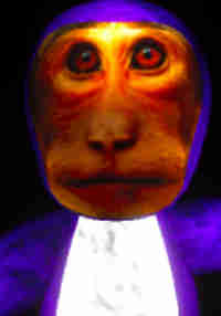 Ape Escape
