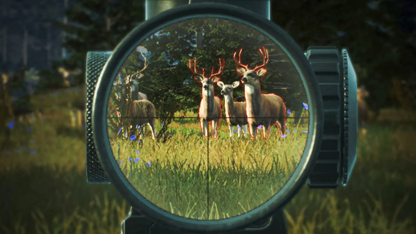 Animal Rush: 4x4 Adventure