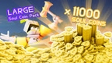 Large Soul Coin Pack