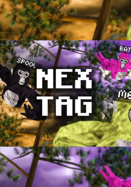 Nex Tag V2