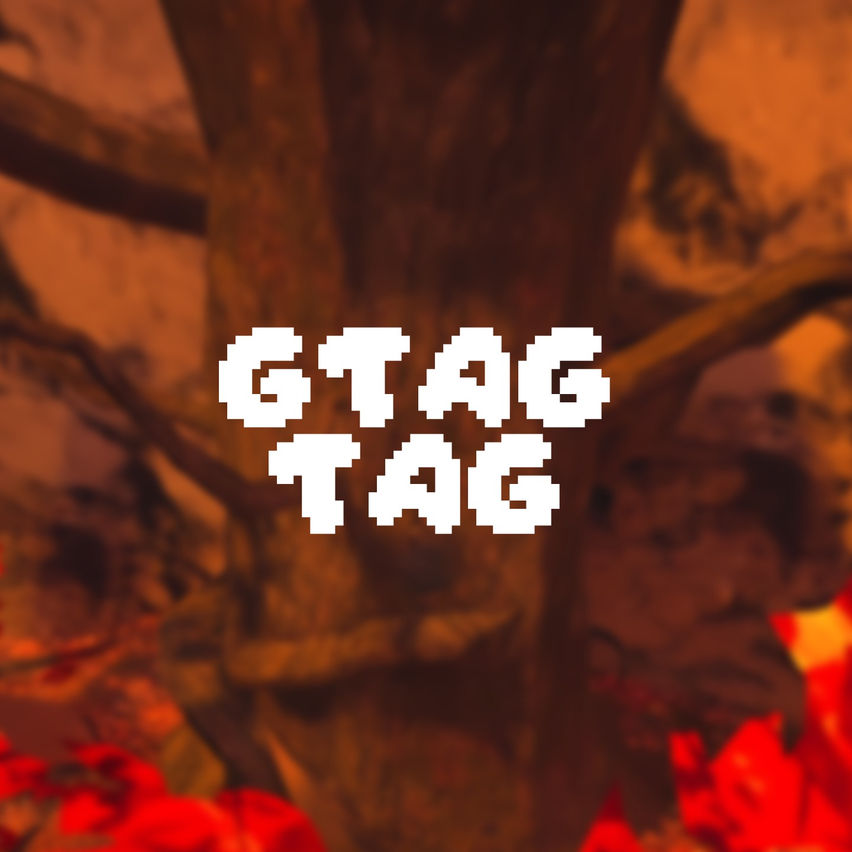 Gtag Tag