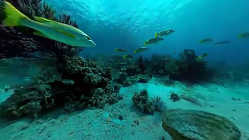 Nomades TV +/- 5 meters interactive VR