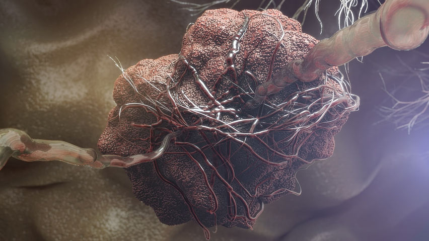Random42 - A Scientific Journey Inside the Human Body
