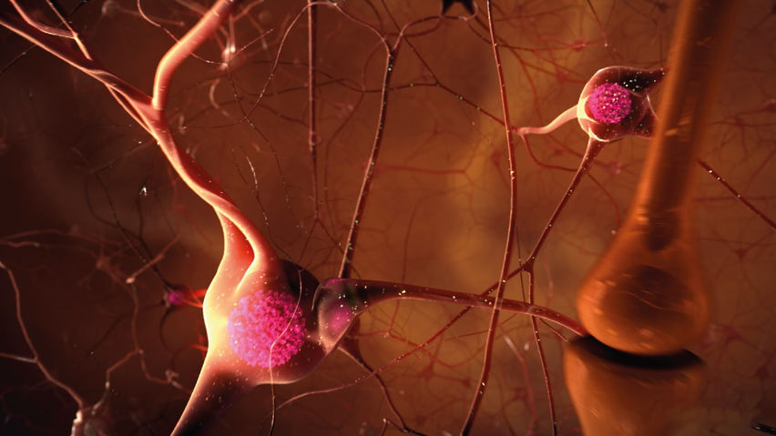 Random42 - A Scientific Journey Inside the Human Body