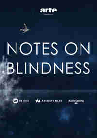 NOTES ON BLINDNESS