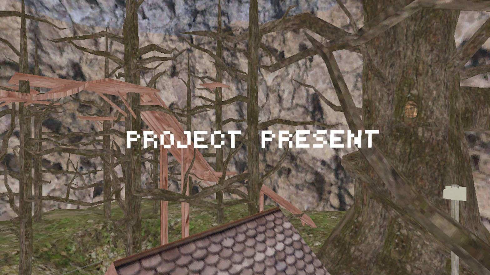 Project Present