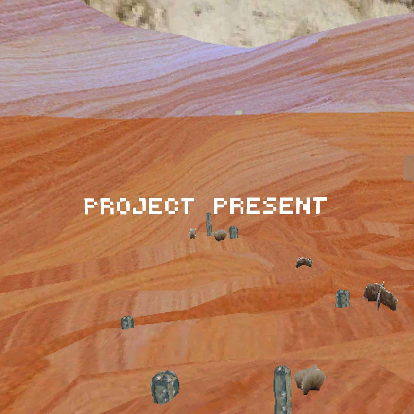 Project Present