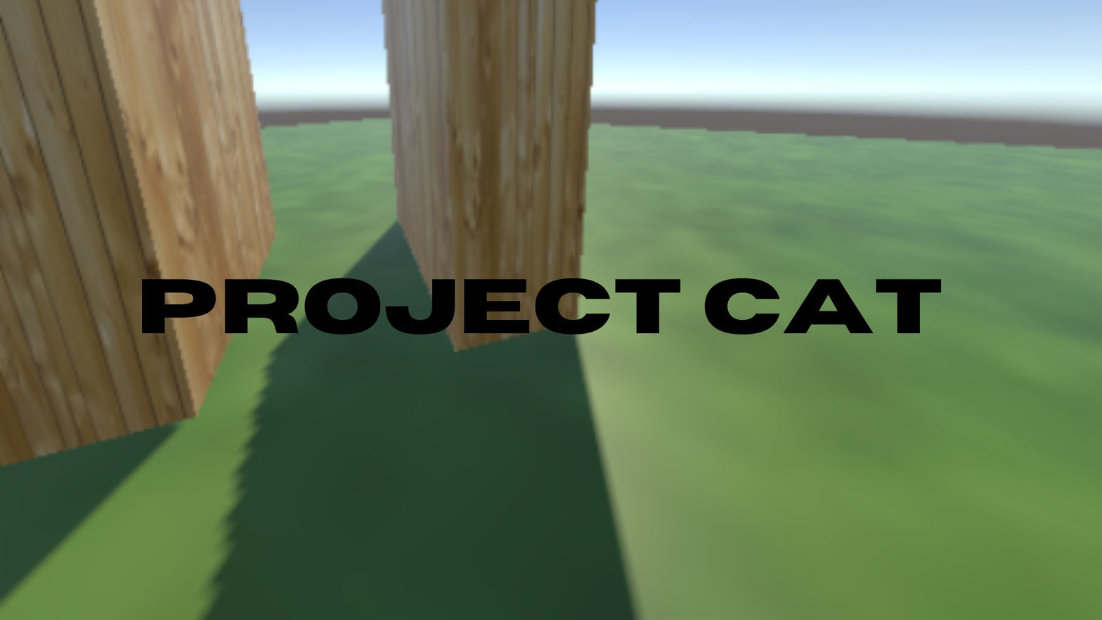 Project Cat