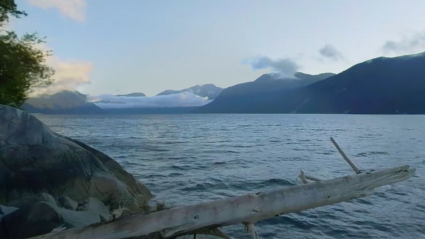 Bear Island