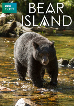 Bear Island