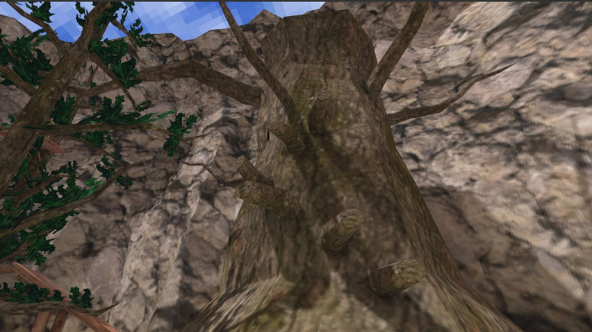 Forest Taggers