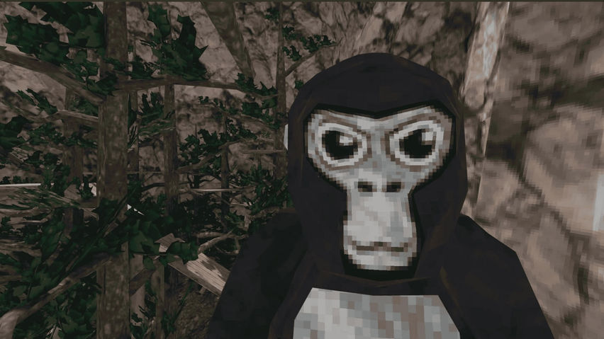 Forest Taggers