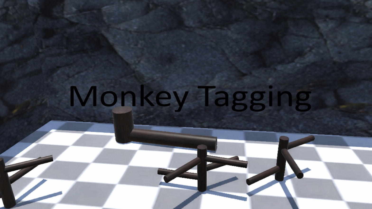 Monkey Tagging