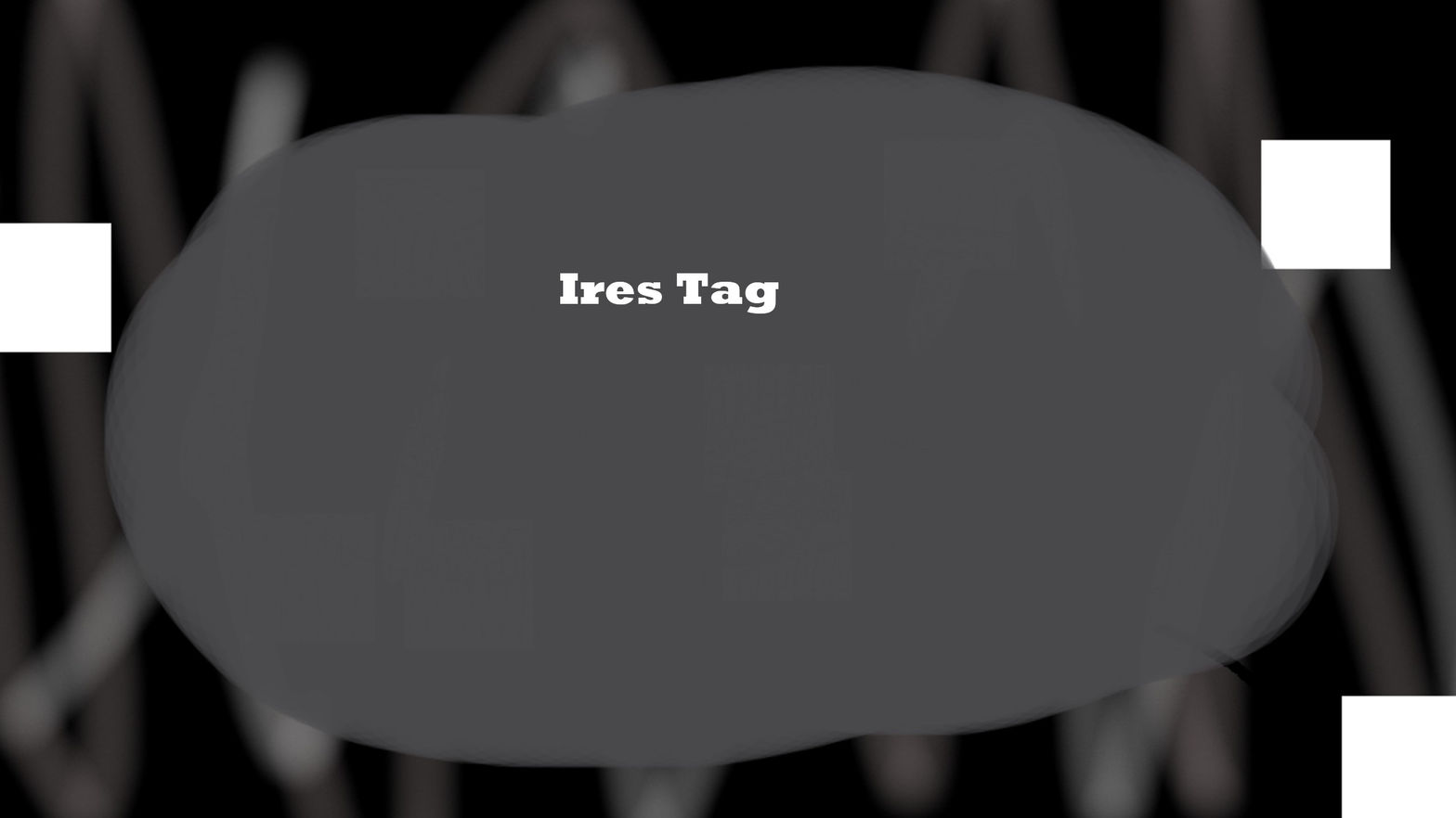 Ires Tag
