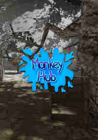 Monkey Hub
