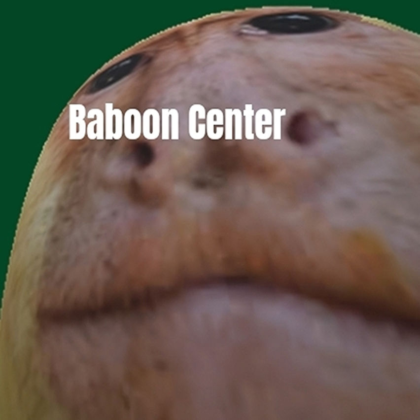 Baboon Center