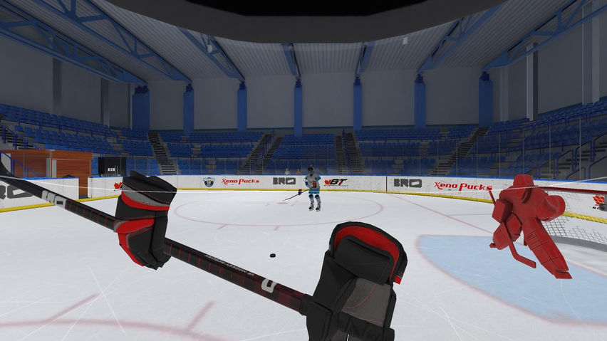 VR Hockey Reborn