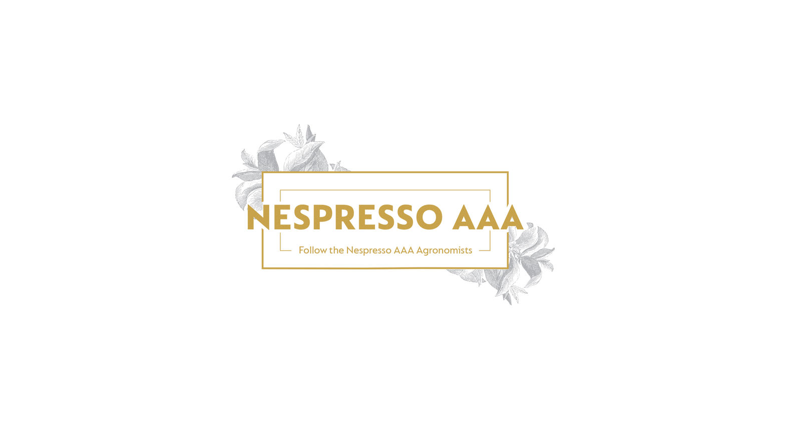 Nespresso AAA Experience